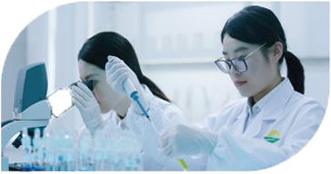 作物免疫基因編輯與分子育種創(chuàng  )制實(shí)驗室心