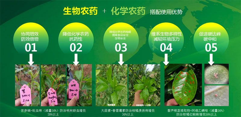 新朝陽(yáng)在第六屆中國農藥行業(yè)市場(chǎng)和銷(xiāo)售高峰論壇做“生物農藥+化學(xué)農藥，引領(lǐng)植保市場(chǎng)未來(lái)”主題報告