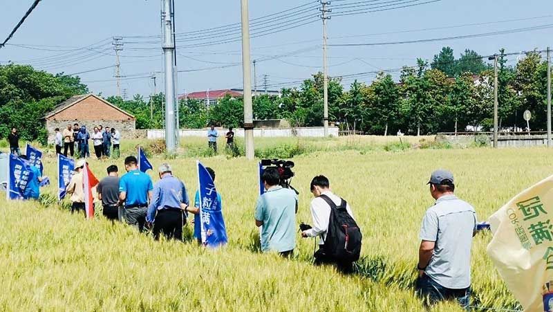 520健康植保日——擁抱綠色農業(yè)，我們在行動(dòng)