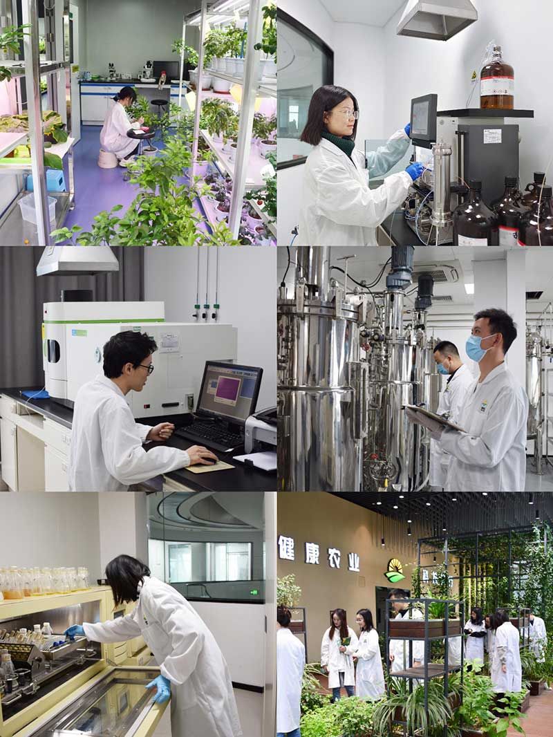 “全國科技工作者日”：推動(dòng)農業(yè)綠色高質(zhì)量發(fā)展，新朝陽(yáng)科研人在路上