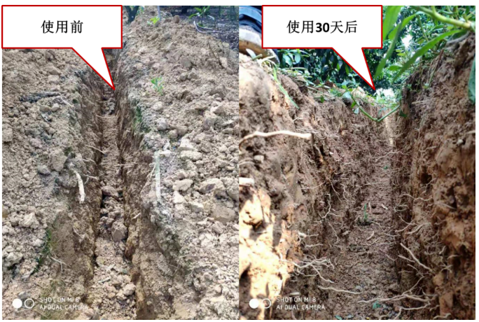 “土壤板結克星”：土壤調理劑你了解多少？
