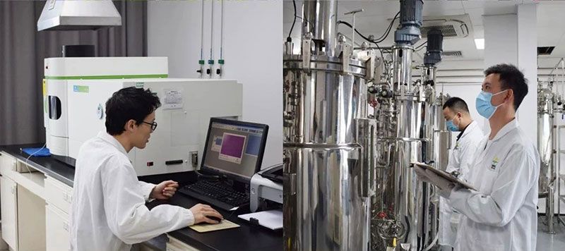 打造新朝陽(yáng)生物科技“五張名片”，服務(wù)農業(yè)高質(zhì)量發(fā)展！