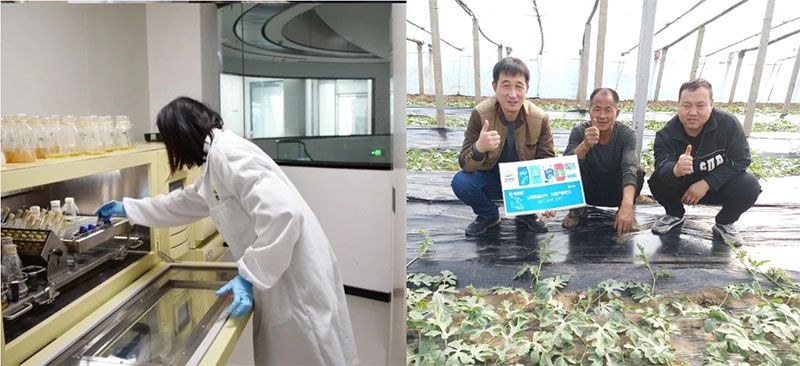 打造新朝陽(yáng)生物科技“五張名片”，服務(wù)農業(yè)高質(zhì)量發(fā)展！