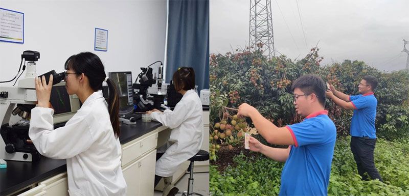 打造新朝陽(yáng)生物科技“五張名片”，服務(wù)農業(yè)高質(zhì)量發(fā)展！