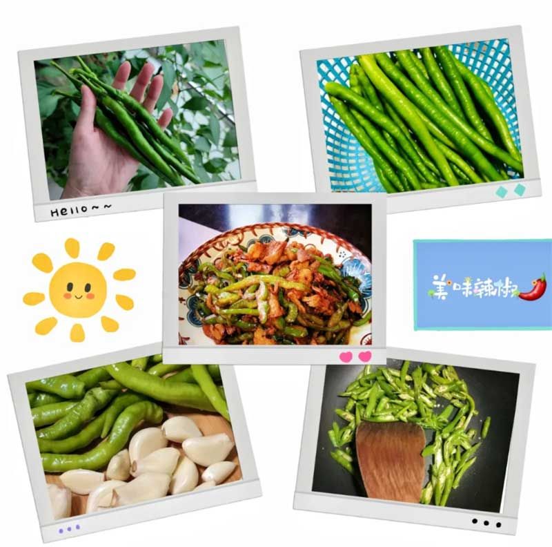 朝陽(yáng)農藝師系列活動(dòng)