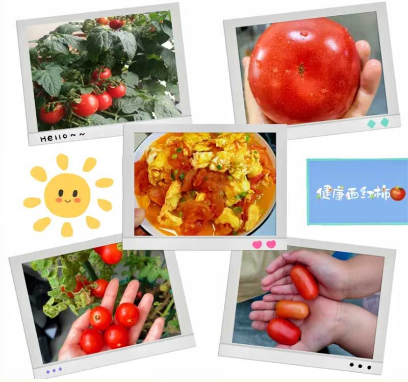 朝陽(yáng)農藝師系列活動(dòng)