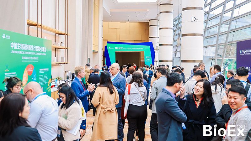 新朝陽(yáng)亮相BioEx峰會(huì )：分享中國生物制劑創(chuàng  )新與商業(yè)化經(jīng)驗，與行業(yè)共定義未來(lái)