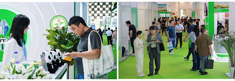 ACE 2025圓滿(mǎn)落幕 